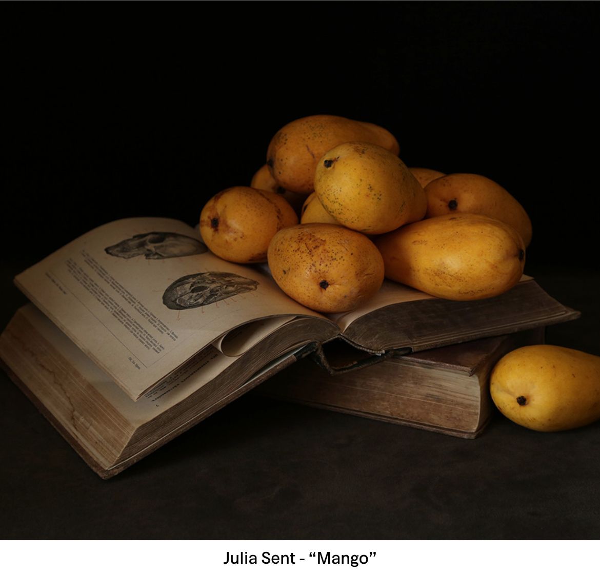 Still Life Photo Contest 2023: Big Ideas for Small Subjects